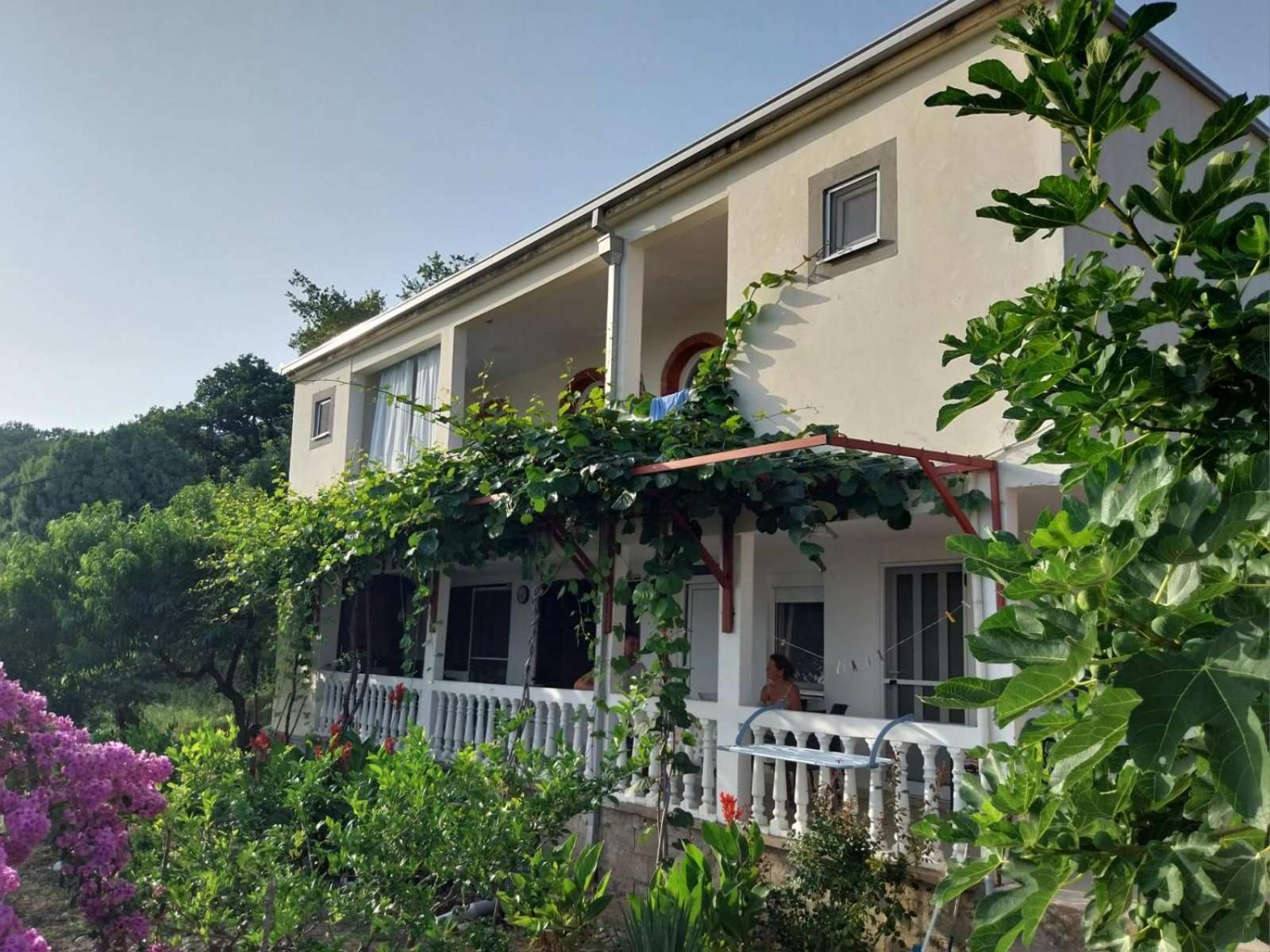 Vila Pogled Петровац Экстерьер фото